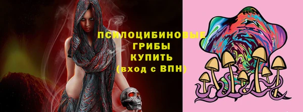 гидропоника Алзамай