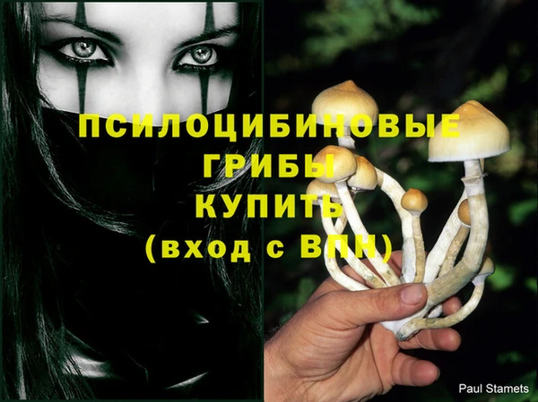 гидропоника Алзамай