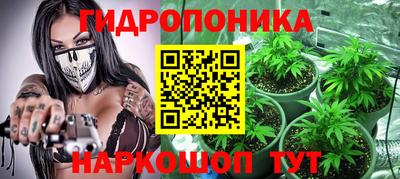 прущие крисы Брянск