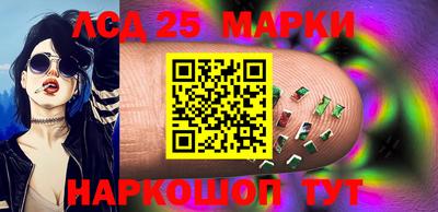 СК Боровичи