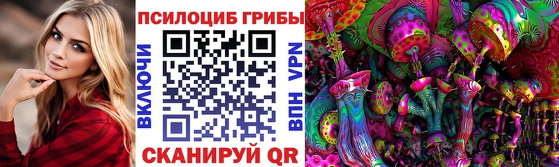 как найти закладки  Бердск  Галлюциногенные грибы прущие грибы 