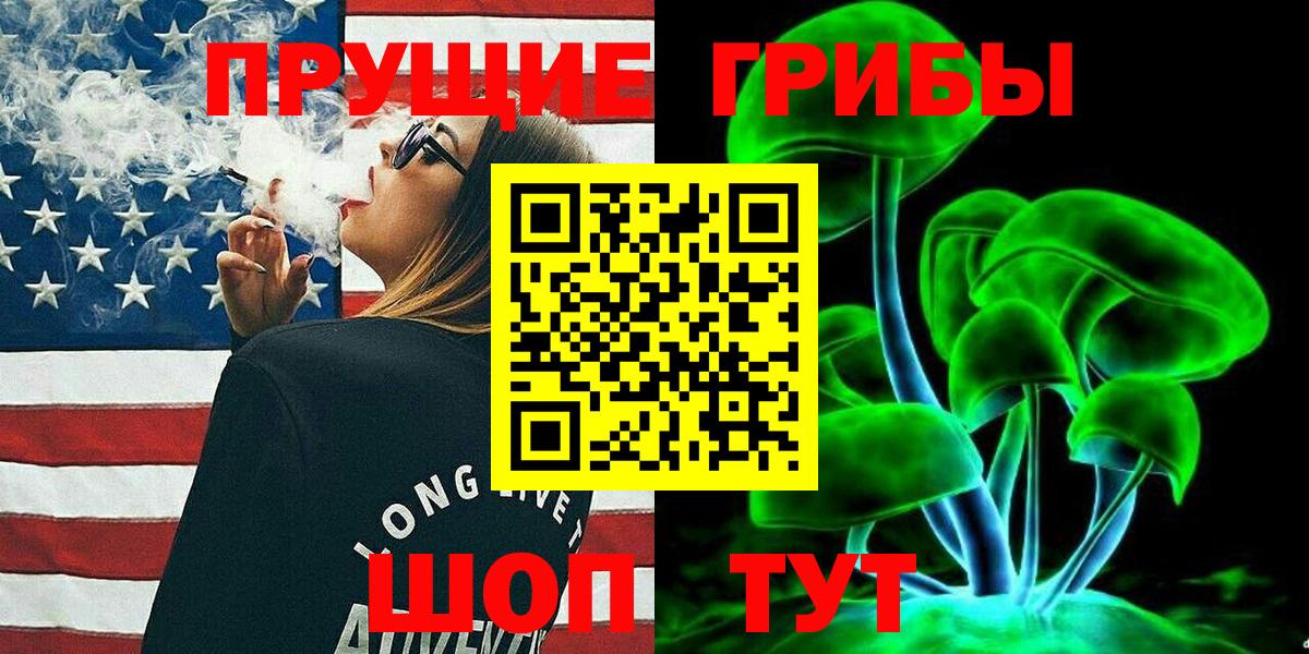 Бердск  Галлюциногенные грибы Cubensis  Вход с VPN 